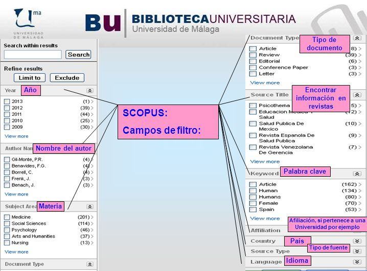 SCOPUS: Campos de filtro: Tipo de documento Año
