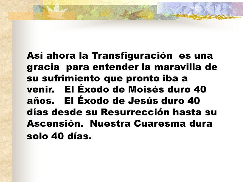 Así ahora la Transfiguración es una gracia para entender la maravilla de su sufrimiento que pronto iba a venir.