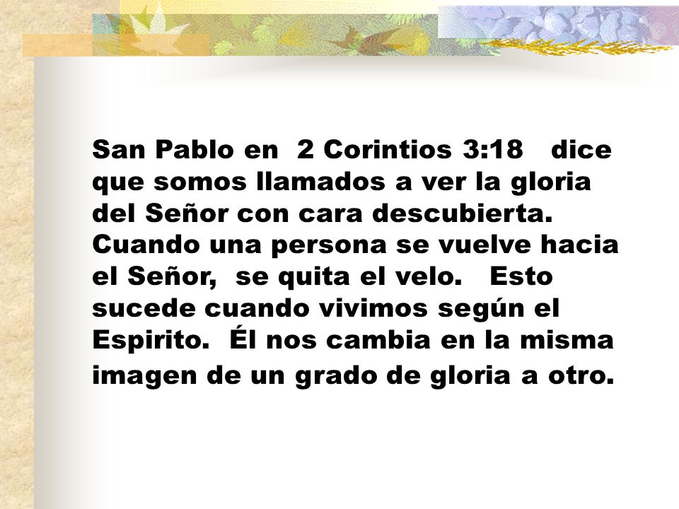 San Pablo en 2 Corintios 3:18 dice que somos llamados a ver la gloria del Señor con cara descubierta.