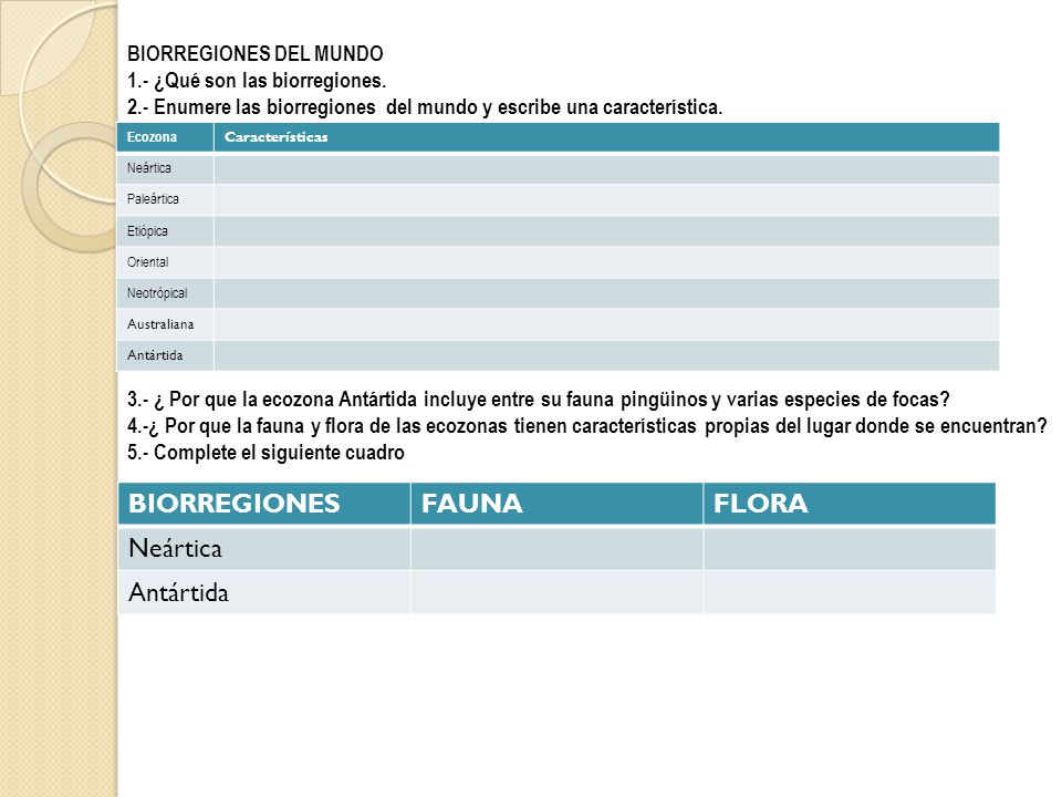 BIORREGIONES FAUNA FLORA Neártica Antártida BIORREGIONES DEL MUNDO