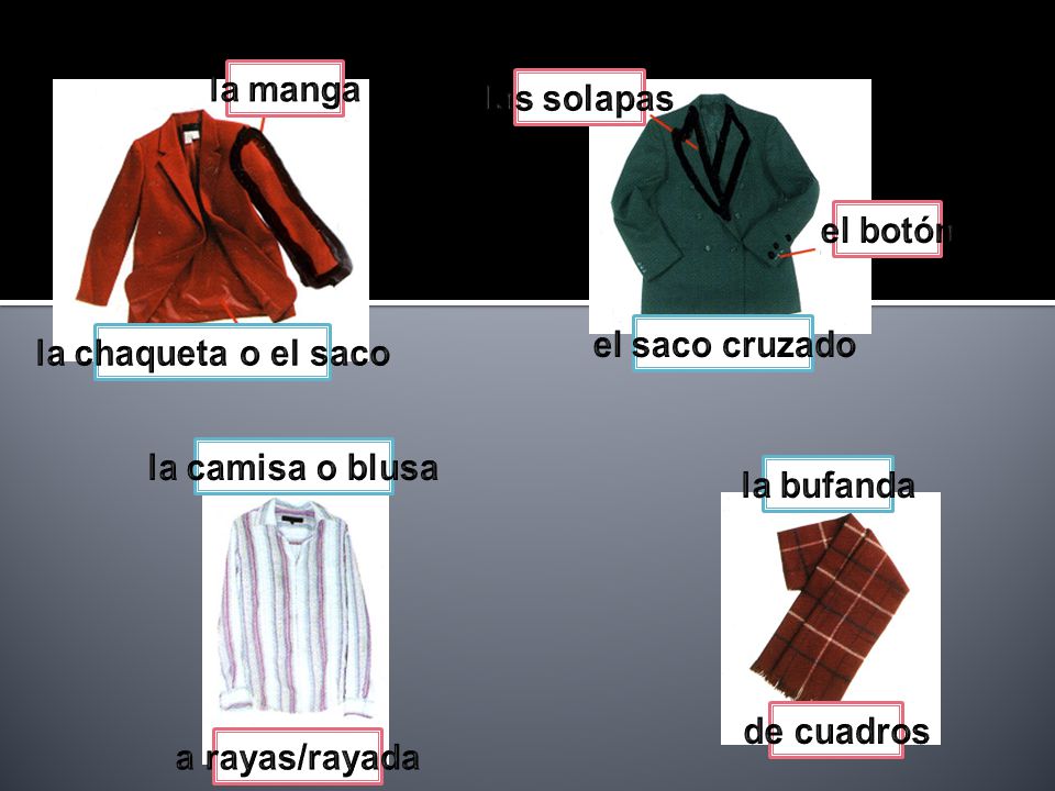 la manga las solapas. el botón. el saco cruzado. la chaqueta o el saco. la camisa o blusa. la bufanda.