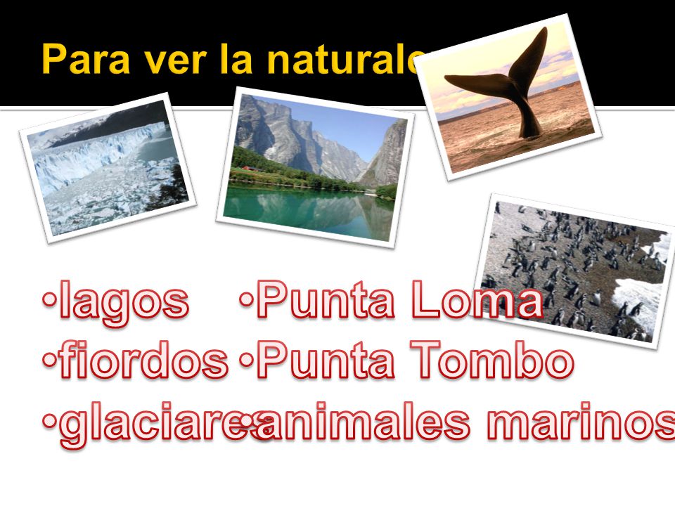 lagos fiordos glaciares Punta Loma Punta Tombo animales marinos