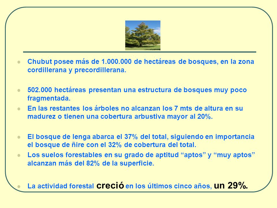 Chubut posee más de de hectáreas de bosques, en la zona cordillerana y precordillerana.