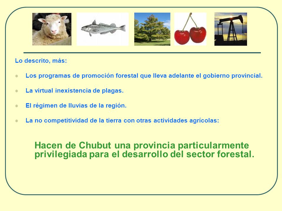 Lo descrito, más: Los programas de promoción forestal que lleva adelante el gobierno provincial. La virtual inexistencia de plagas.