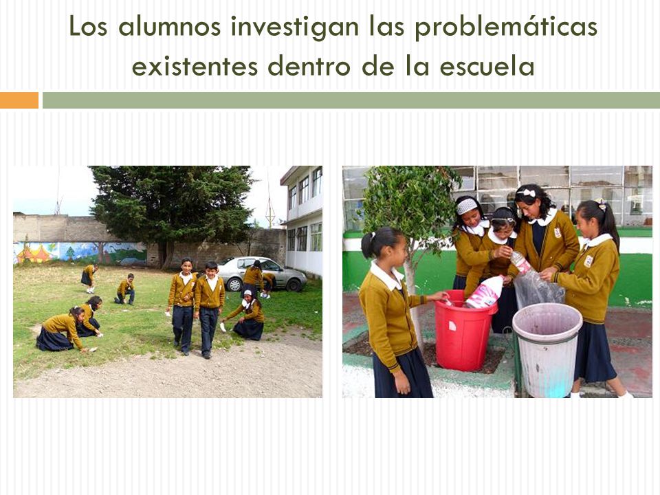 Los alumnos investigan las problemáticas existentes dentro de la escuela
