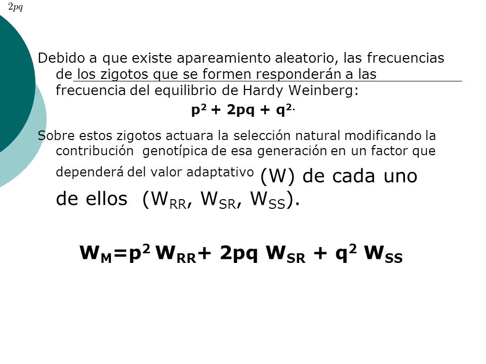 Debido a que existe apareamiento aleatorio, las frecuencias de los zigotos que se formen responderán a las frecuencia del equilibrio de Hardy Weinberg: