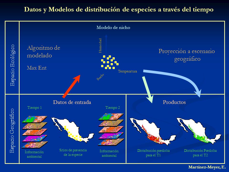 Datos y Modelos de distribución de especies a través del tiempo