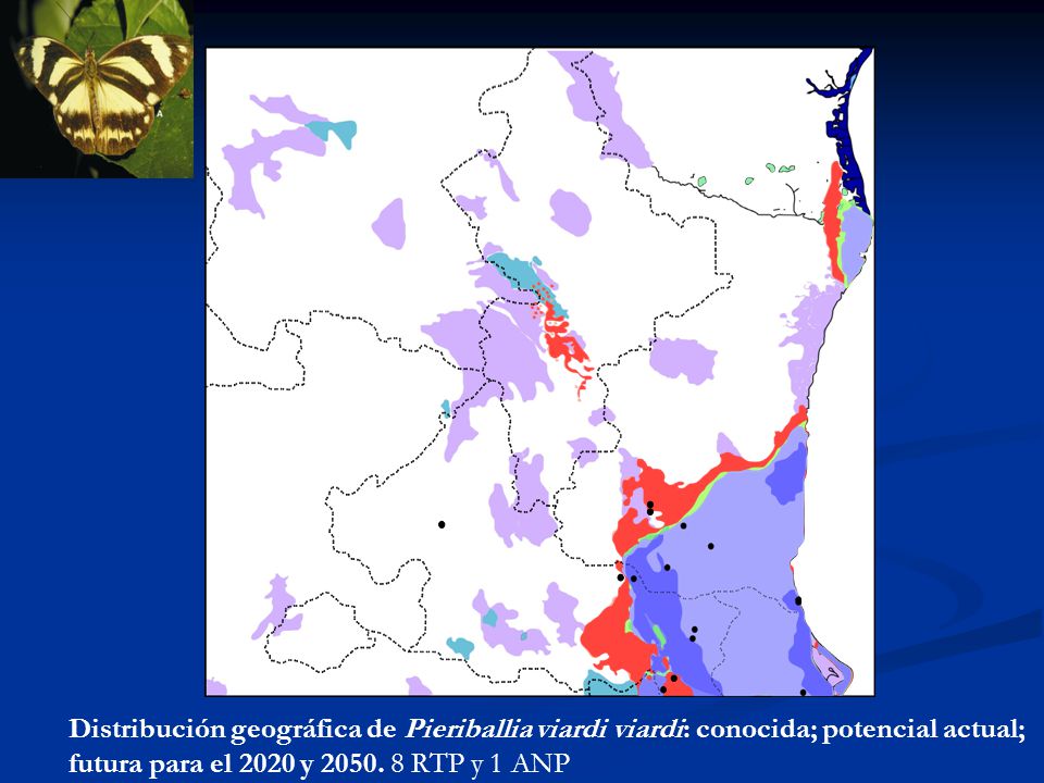 Distribución geográfica de Pieriballia viardi viardi: conocida; potencial actual; futura para el 2020 y 2050.