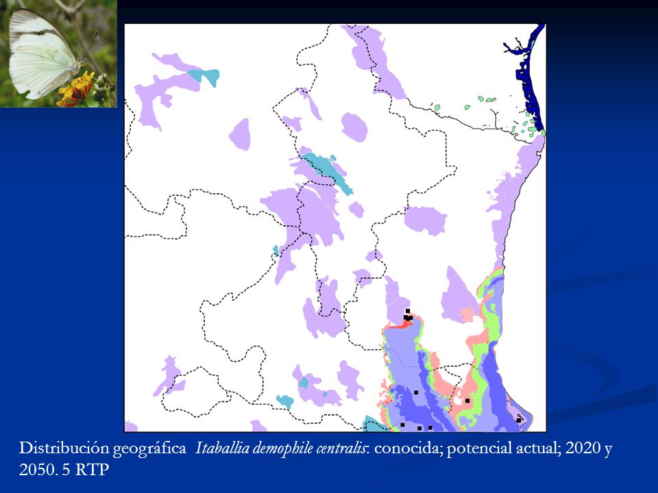 Distribución geográfica Itaballia demophile centralis: conocida; potencial actual; 2020 y 2050.
