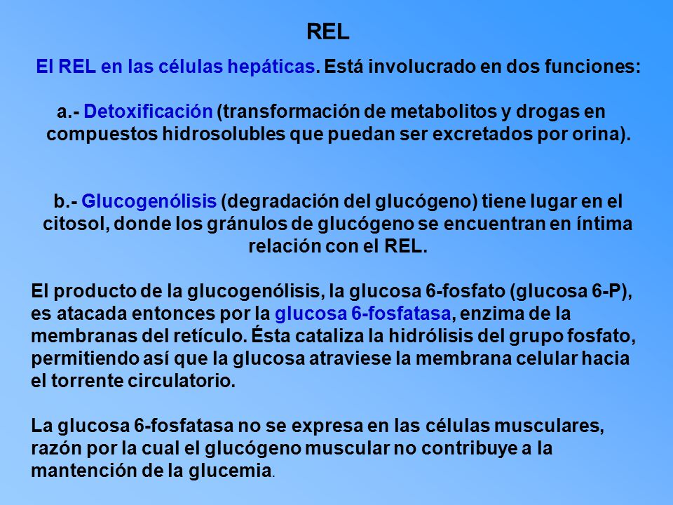 REL a.- Detoxificación (transformación de metabolitos y drogas en