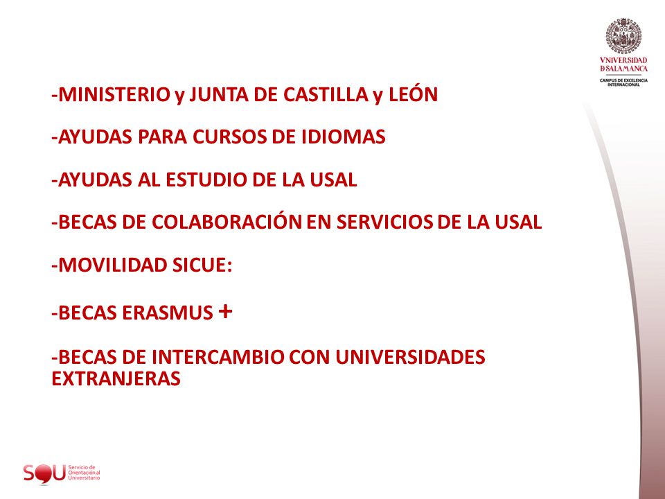 -MINISTERIO y JUNTA DE CASTILLA y LEÓN -AYUDAS PARA CURSOS DE IDIOMAS -AYUDAS AL ESTUDIO DE LA USAL -BECAS DE COLABORACIÓN EN SERVICIOS DE LA USAL -MOVILIDAD SICUE: -BECAS ERASMUS + -BECAS DE INTERCAMBIO CON UNIVERSIDADES EXTRANJERAS