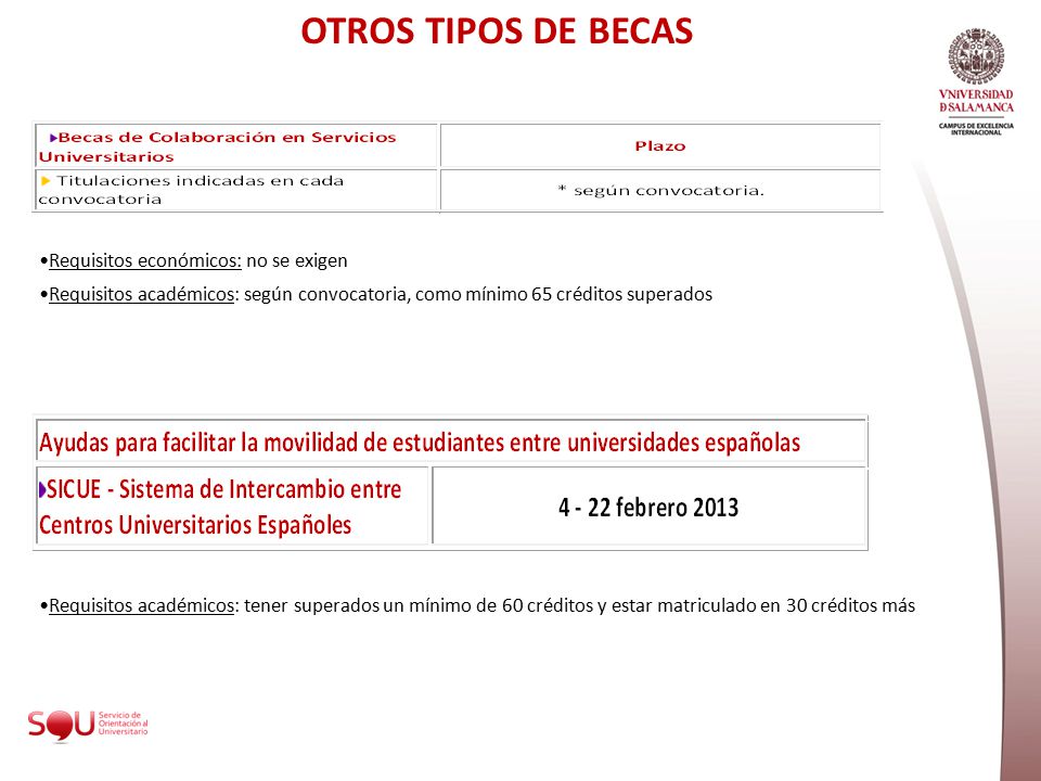 OTROS TIPOS DE BECAS Requisitos económicos: no se exigen