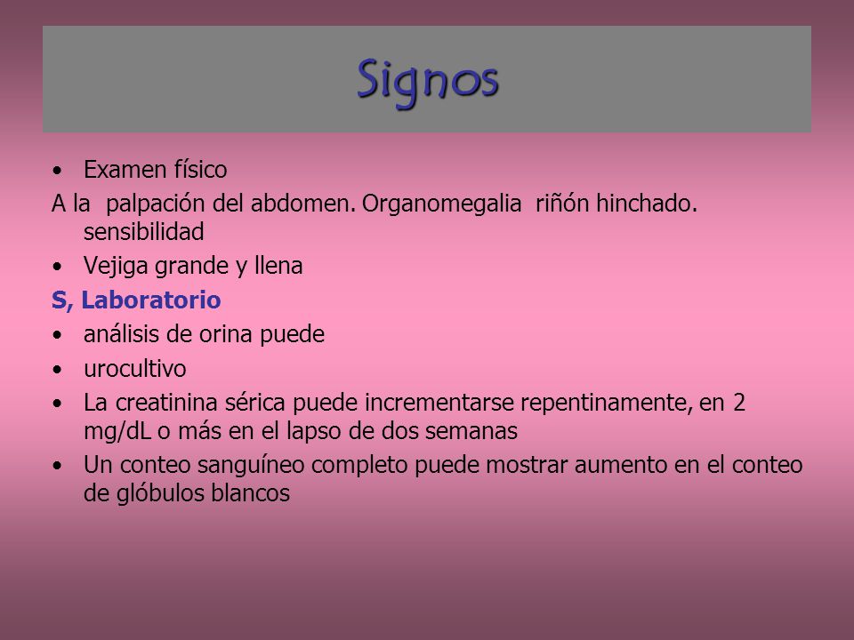 Signos Examen físico. A la palpación del abdomen. Organomegalia riñón hinchado. sensibilidad. Vejiga grande y llena.