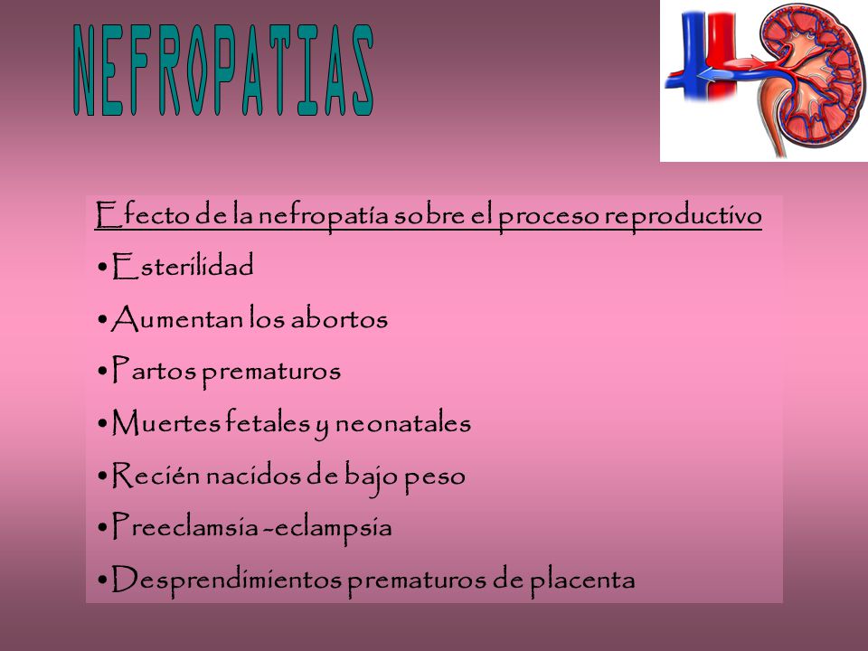 NEFROPATIAS Efecto de la nefropatía sobre el proceso reproductivo