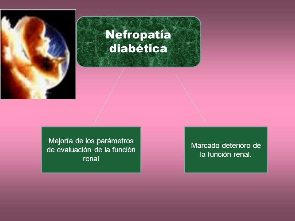 Nefropatía diabética Mejoría de los parámetros de evaluación de la función renal.