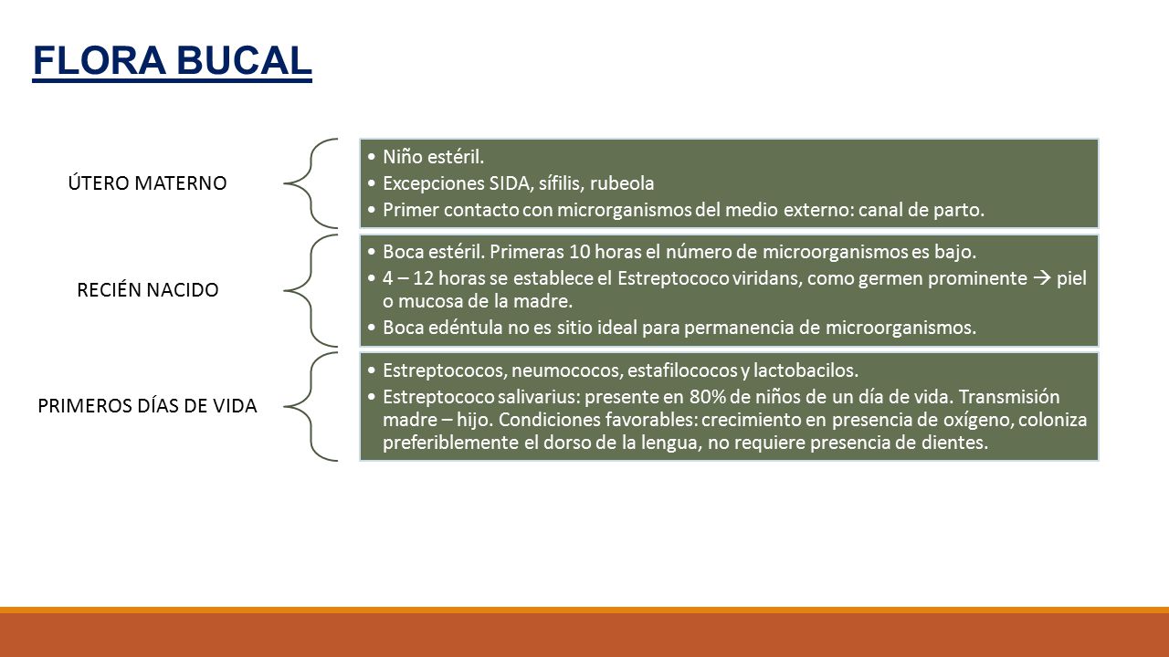 FLORA BUCAL ÚTERO MATERNO RECIÉN NACIDO PRIMEROS DÍAS DE VIDA
