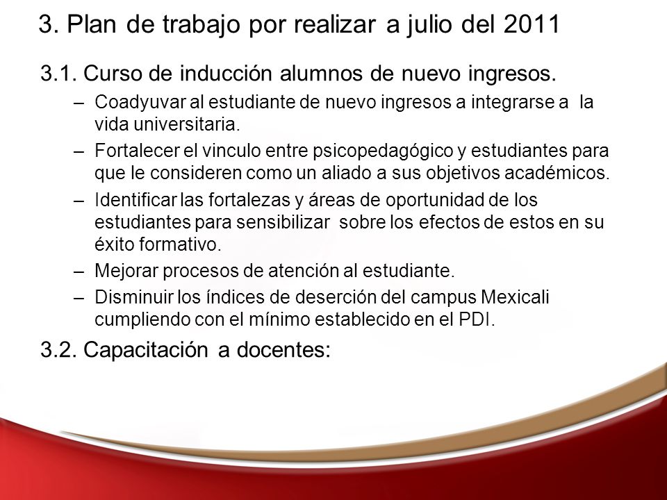3. Plan de trabajo por realizar a julio del 2011