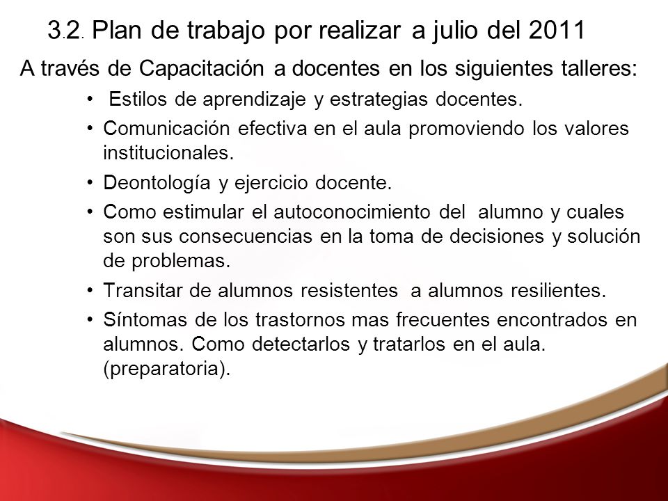 3.2. Plan de trabajo por realizar a julio del 2011