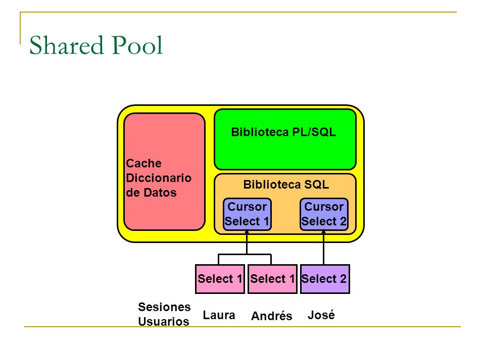 Shared Pool Biblioteca PL/SQL Cache Diccionario de Datos Cursor