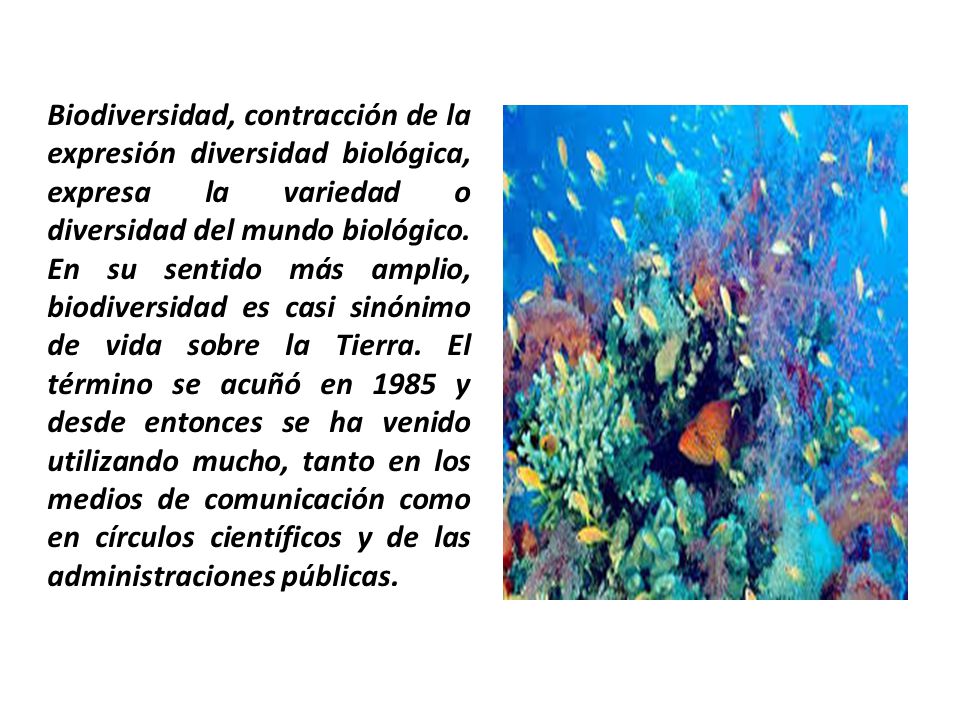 Biodiversidad, contracción de la expresión diversidad biológica, expresa la variedad o diversidad del mundo biológico.