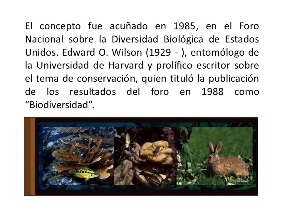 El concepto fue acuñado en 1985, en el Foro Nacional sobre la Diversidad Biológica de Estados Unidos.
