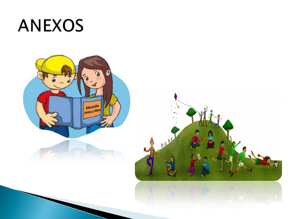 ANEXOS