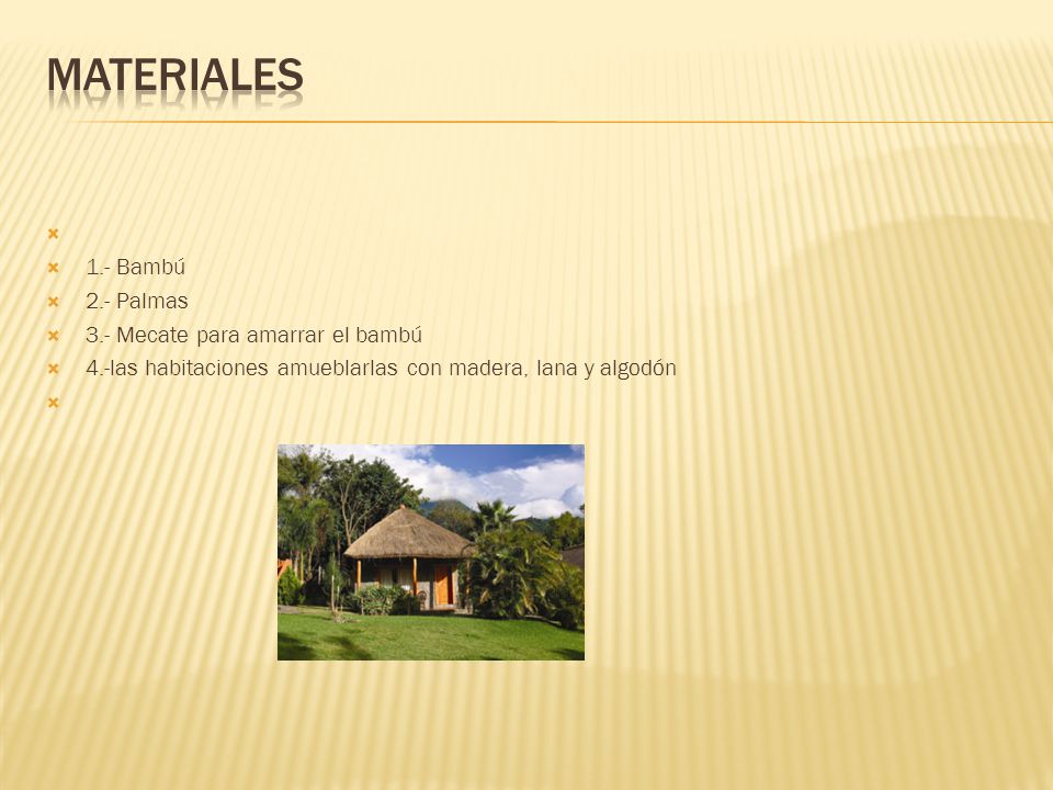 MATERIALES 1.- Bambú 2.- Palmas 3.- Mecate para amarrar el bambú