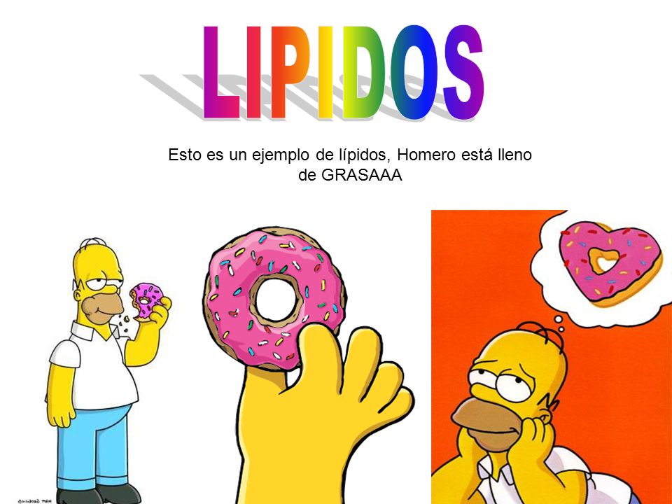 Esto es un ejemplo de lípidos, Homero está lleno de GRASAAA
