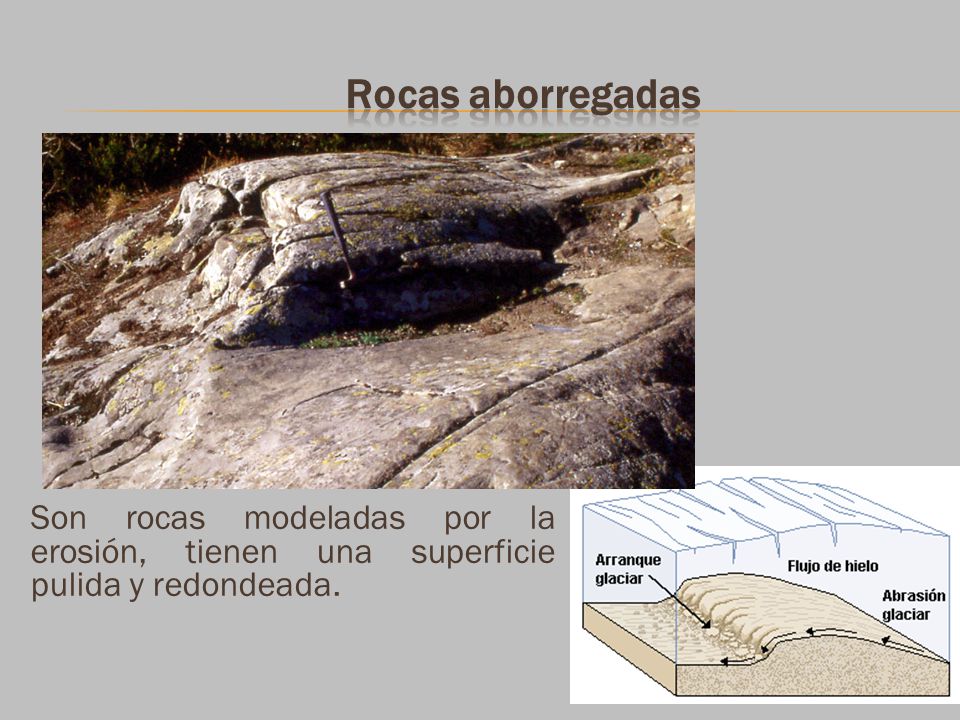 Rocas aborregadas Son rocas modeladas por la erosión, tienen una superficie pulida y redondeada.