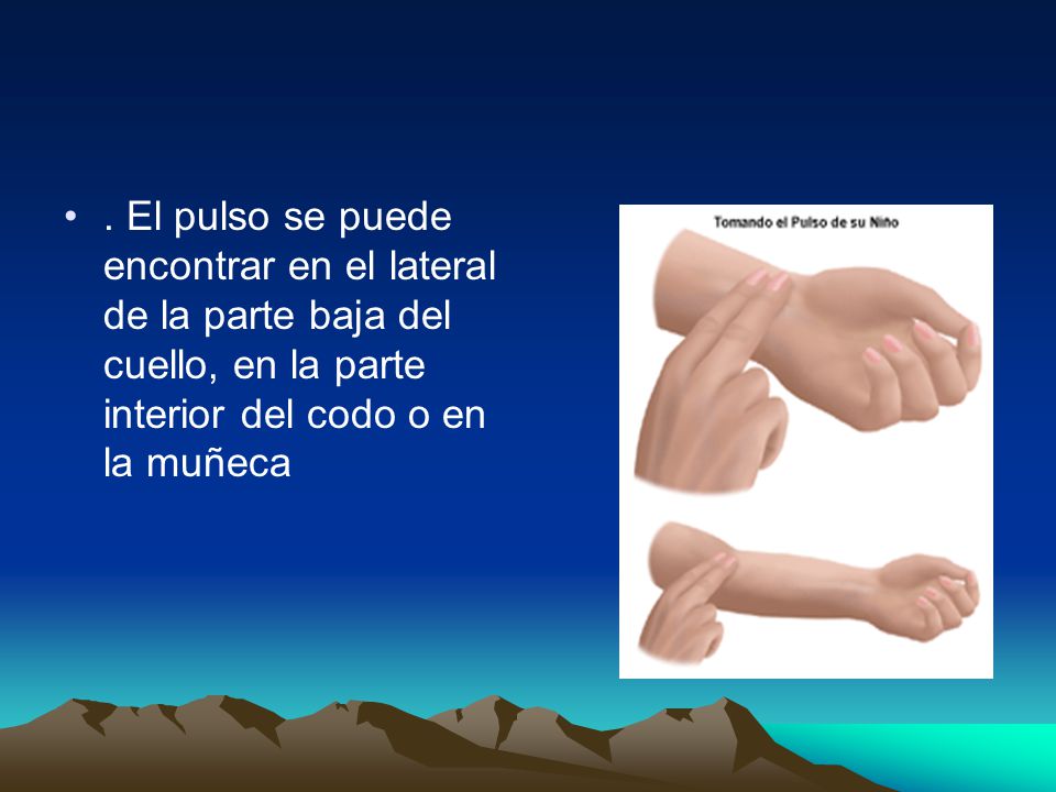 . El pulso se puede encontrar en el lateral de la parte baja del cuello, en la parte interior del codo o en la muñeca