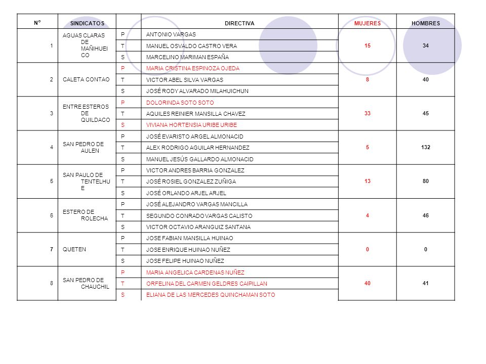 N° SINDICATOS. DIRECTIVA. MUJERES. HOMBRES. 1. AGUAS CLARAS DE MAÑIHUEICO. P. ANTONIO VARGAS.