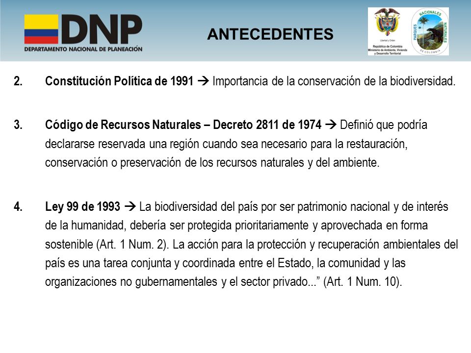 ANTECEDENTES Constitución Política de 1991  Importancia de la conservación de la biodiversidad.