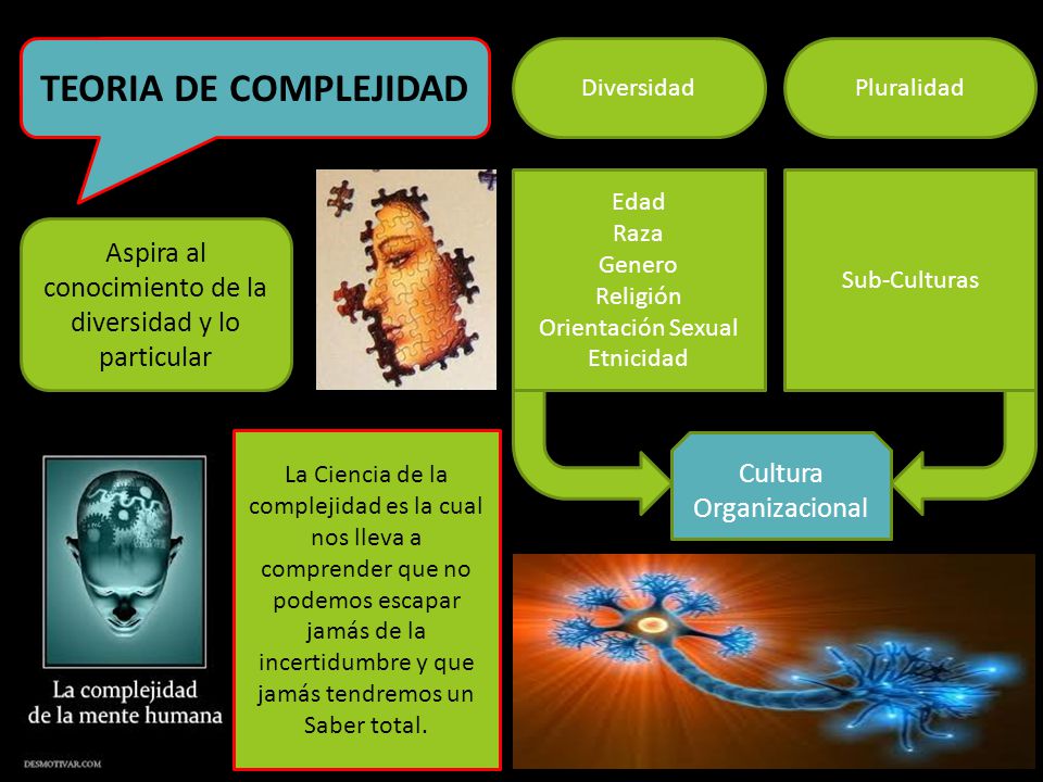 Aspira al conocimiento de la diversidad y lo particular