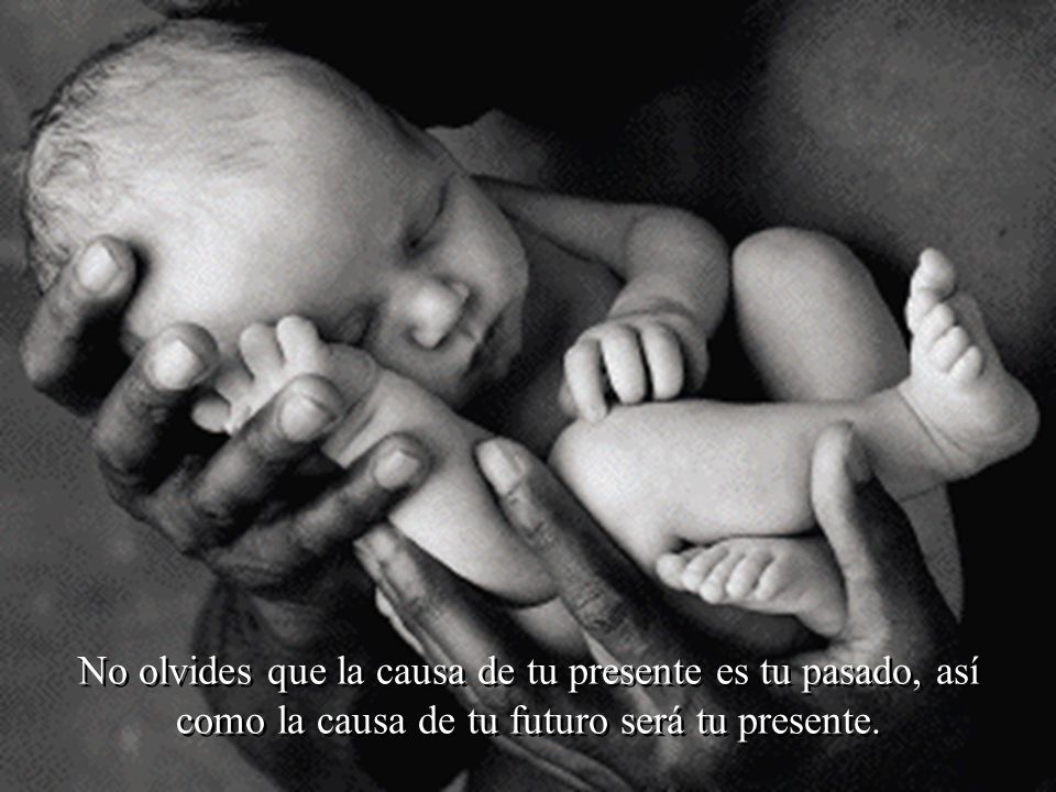 No olvides que la causa de tu presente es tu pasado, así como la causa de tu futuro será tu presente.