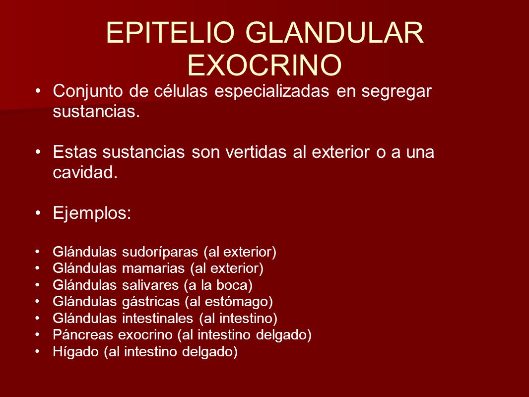 EPITELIO GLANDULAR EXOCRINO