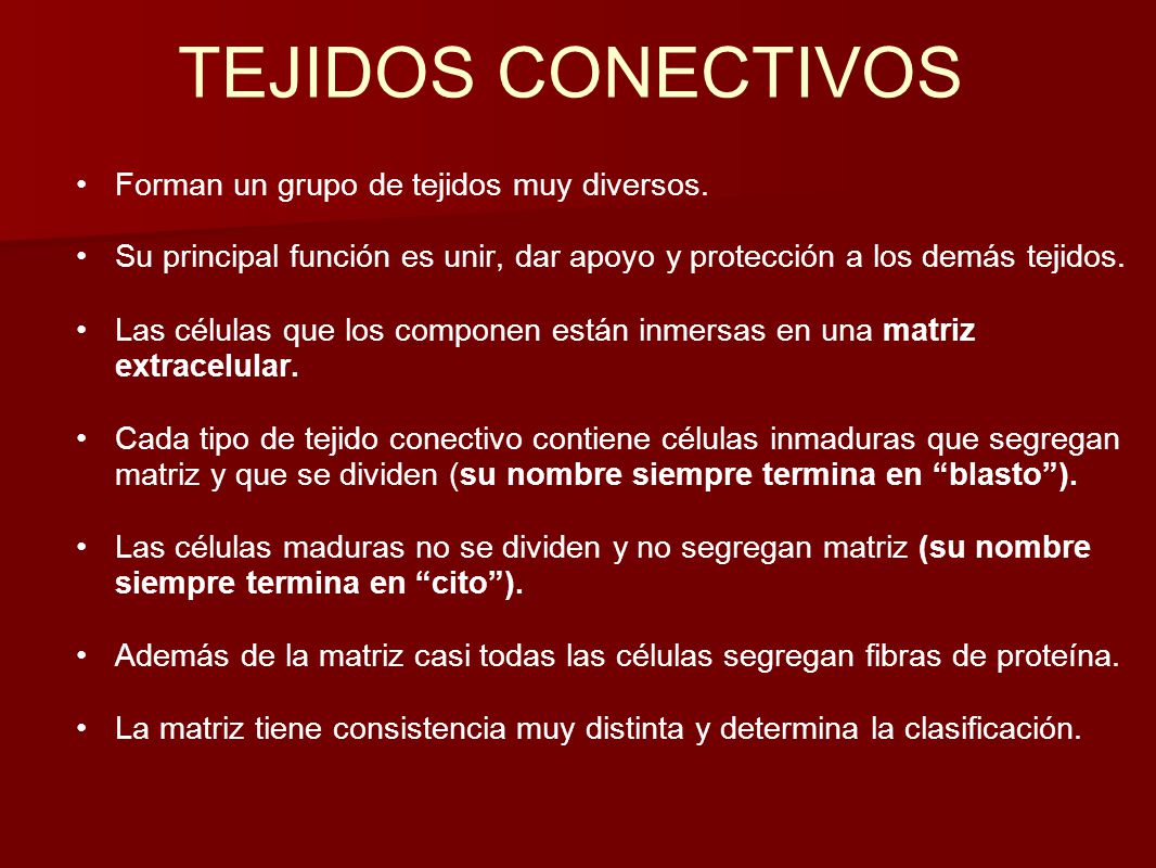 TEJIDOS CONECTIVOS Forman un grupo de tejidos muy diversos.