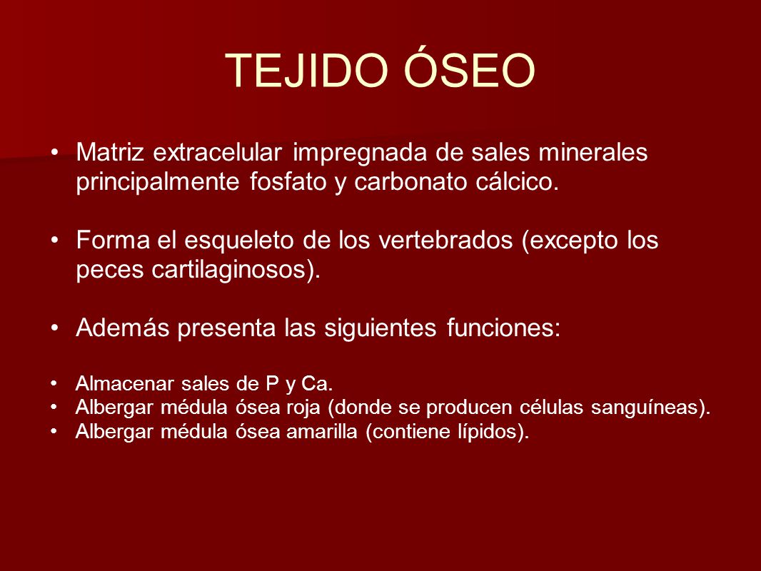 TEJIDO ÓSEO Matriz extracelular impregnada de sales minerales principalmente fosfato y carbonato cálcico.