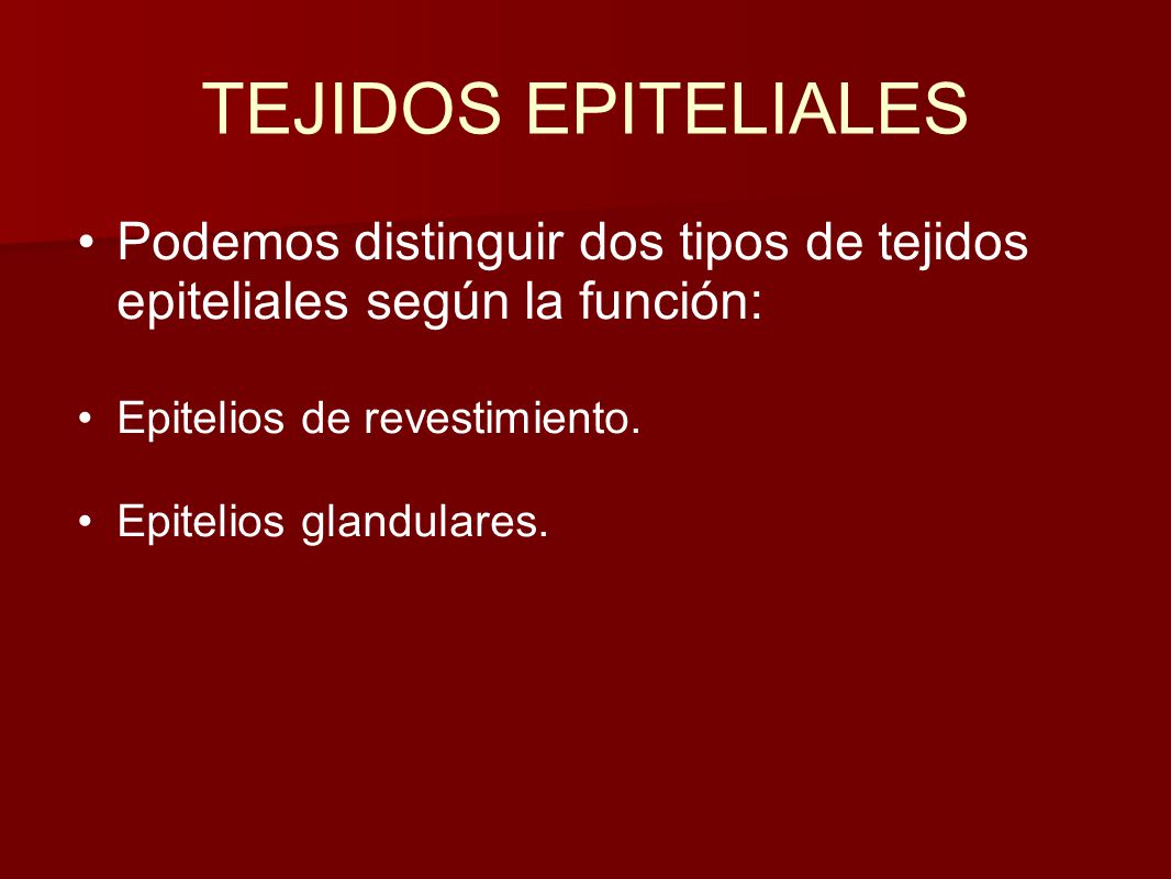 TEJIDOS EPITELIALES Podemos distinguir dos tipos de tejidos epiteliales según la función: Epitelios de revestimiento.