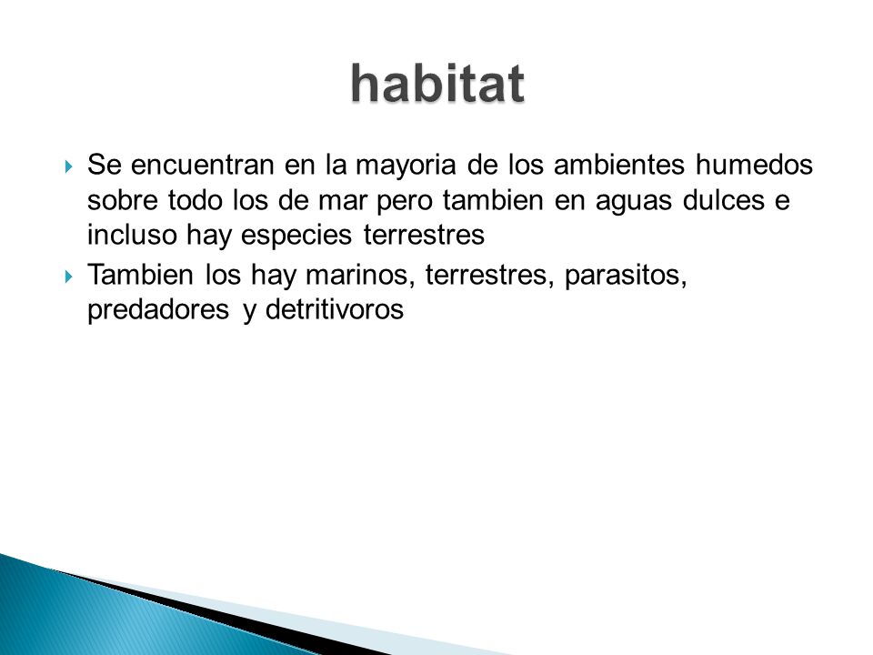 habitat Se encuentran en la mayoria de los ambientes humedos sobre todo los de mar pero tambien en aguas dulces e incluso hay especies terrestres.
