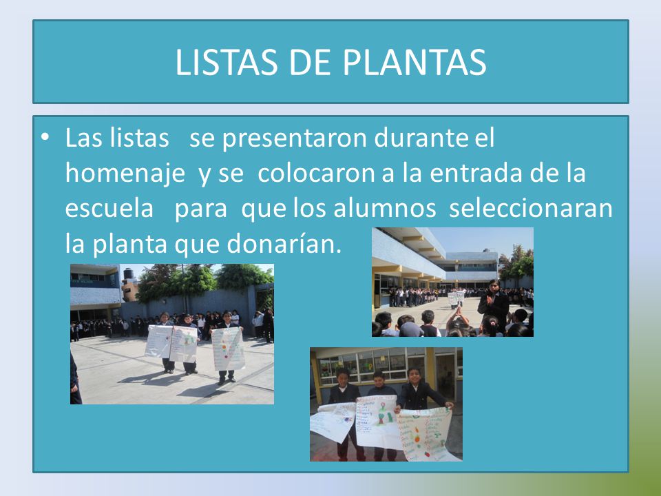 LISTAS DE PLANTAS