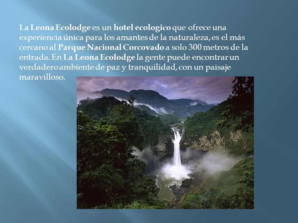 La Leona Ecolodge es un hotel ecologico que ofrece una experiencia única para los amantes de la naturaleza, es el más cercano al Parque Nacional Corcovado a solo 300 metros de la entrada.