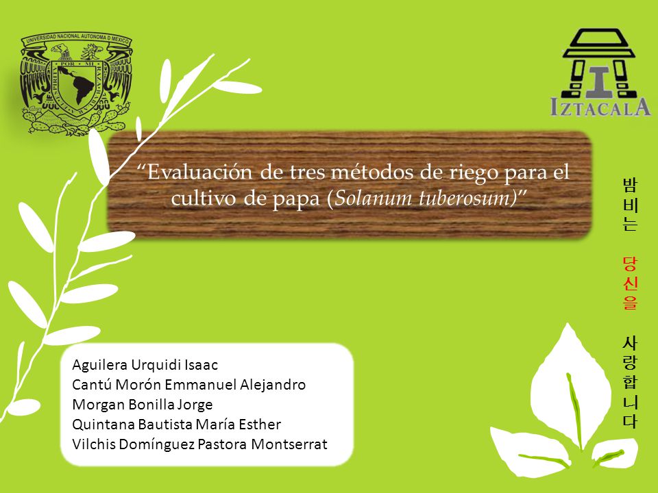 Evaluación de tres métodos de riego para el cultivo de papa (Solanum tuberosum)