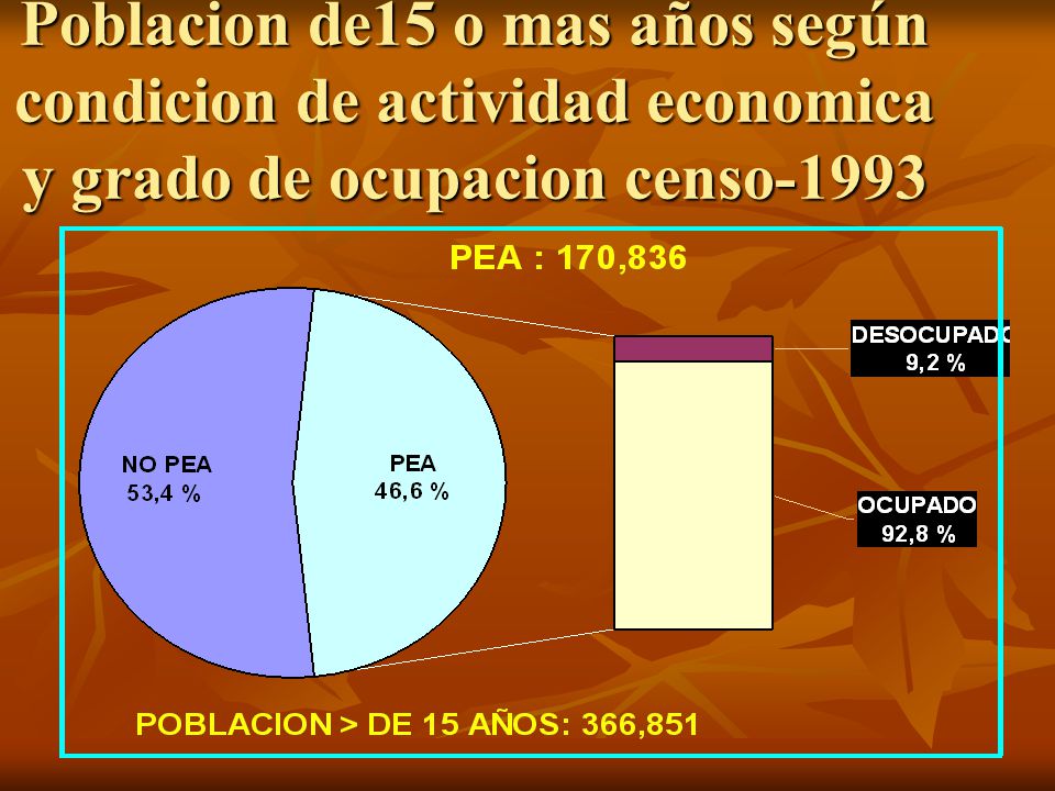 Poblacion de15 o mas años según condicion de actividad economica y grado de ocupacion censo-1993