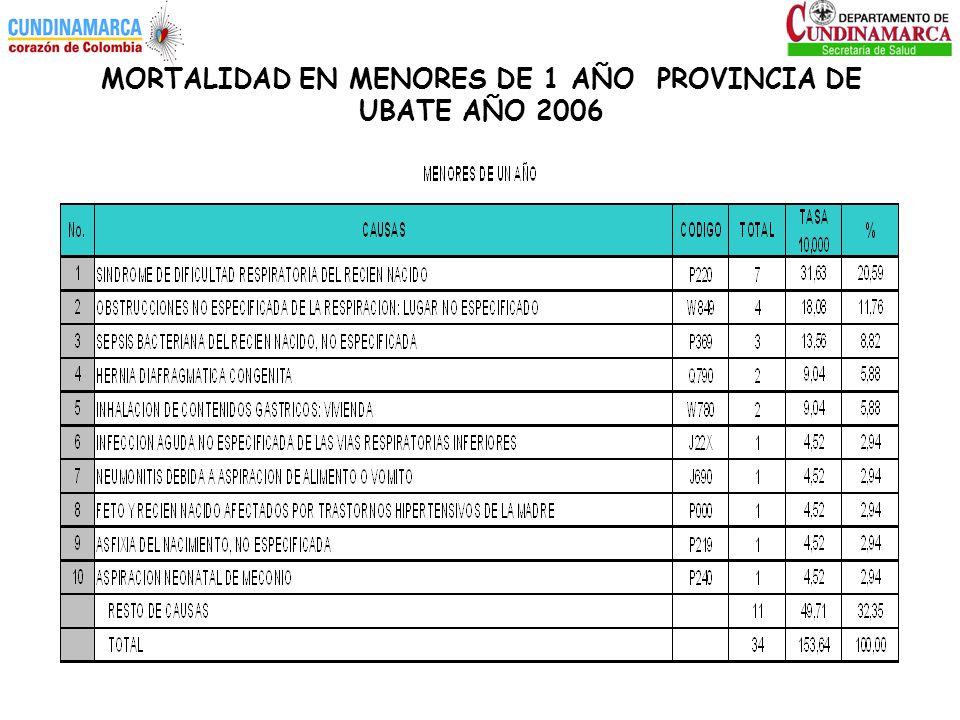 MORTALIDAD EN MENORES DE 1 AÑO PROVINCIA DE UBATE AÑO 2006