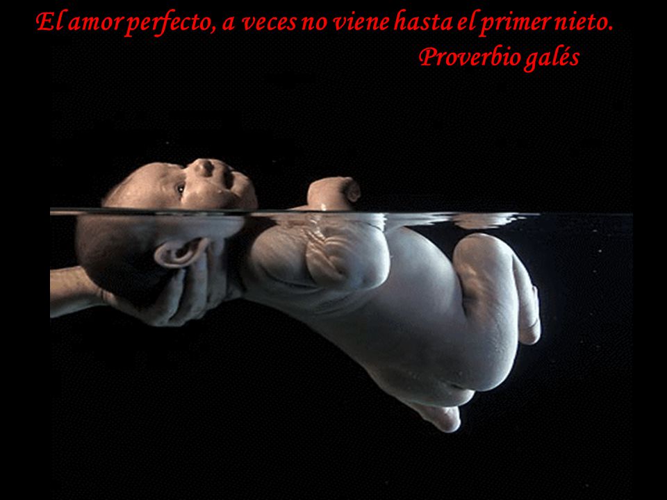 El amor perfecto, a veces no viene hasta el primer nieto.