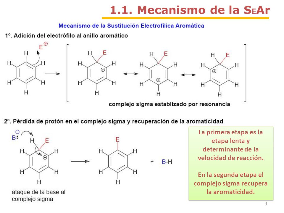 En la segunda etapa el complejo sigma recupera la aromaticidad.
