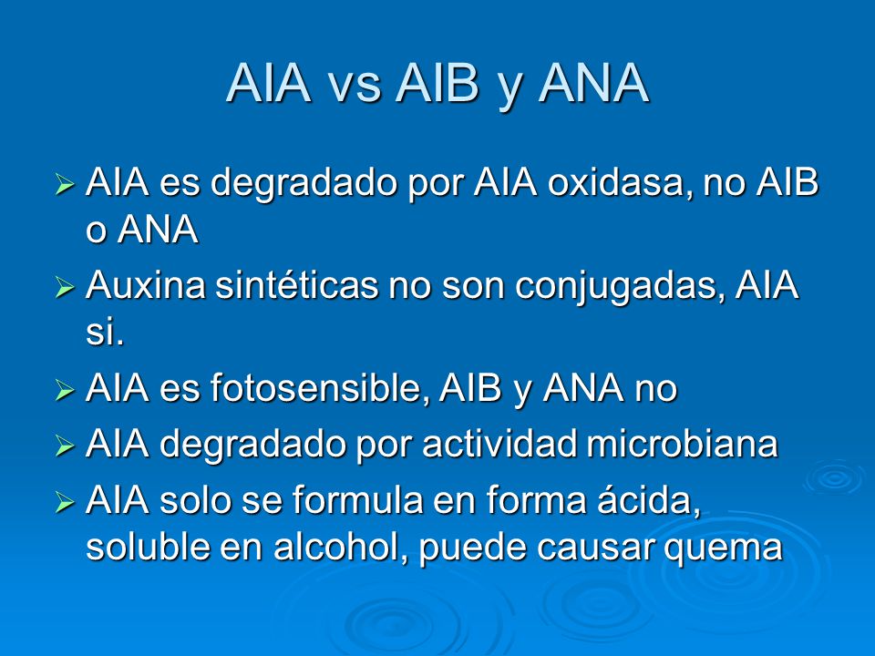 AIA vs AIB y ANA AIA es degradado por AIA oxidasa, no AIB o ANA