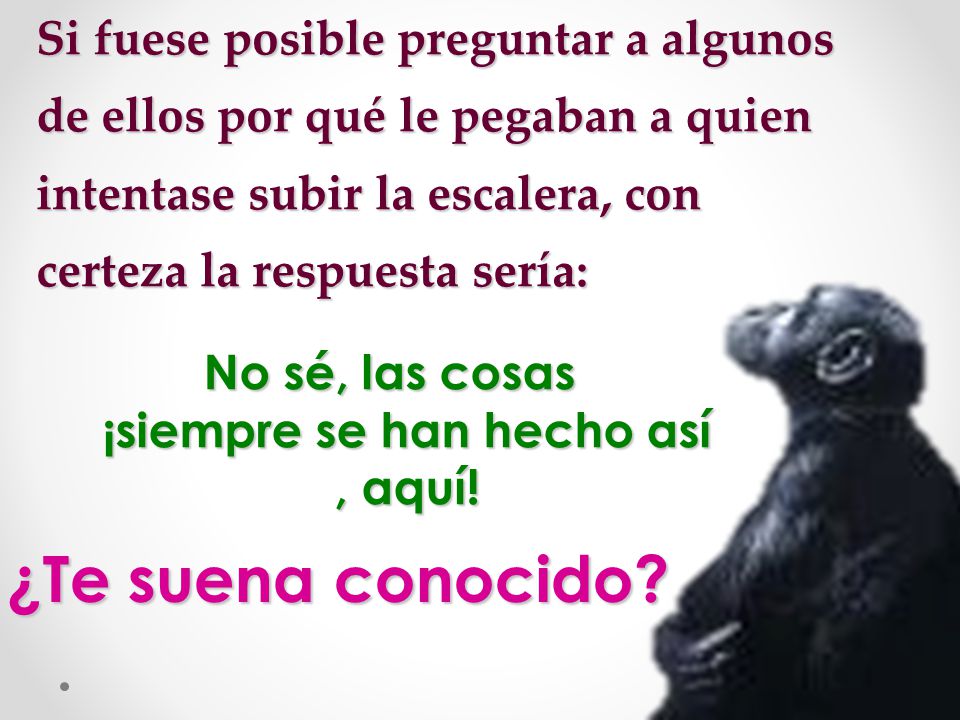 No sé, las cosas ¡siempre se han hecho así , aquí!