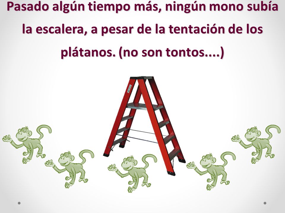 Pasado algún tiempo más, ningún mono subía la escalera, a pesar de la tentación de los plátanos.