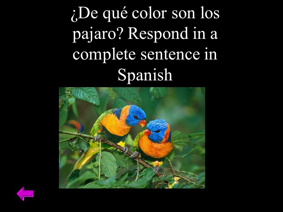 ¿De qué color son los pajaro Respond in a complete sentence in Spanish